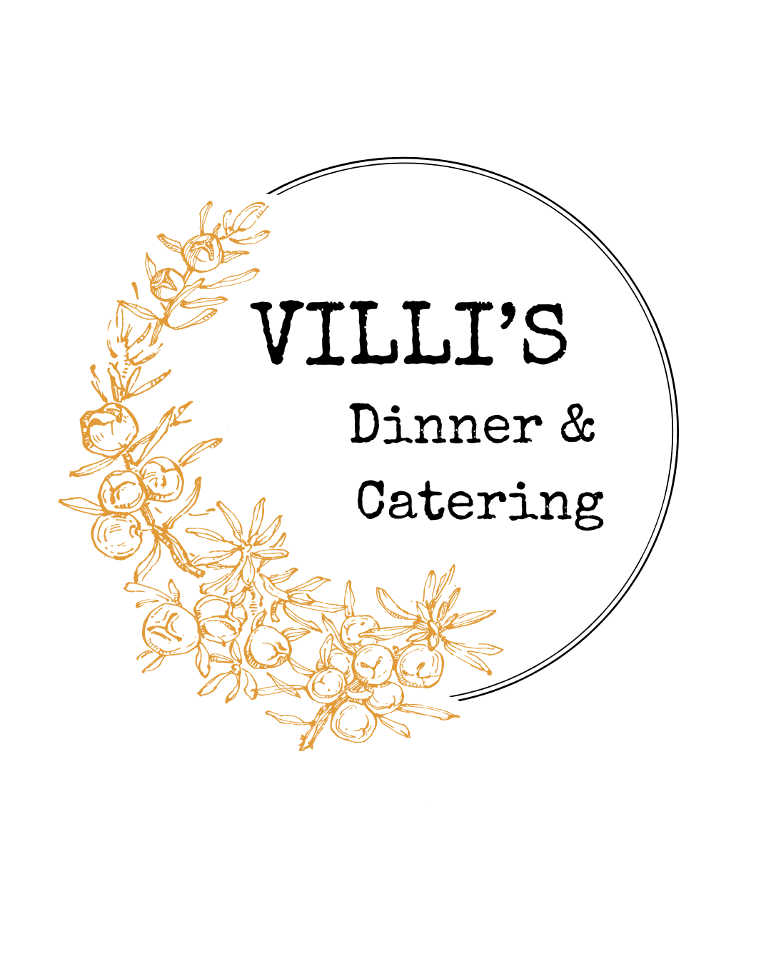 villi's catering